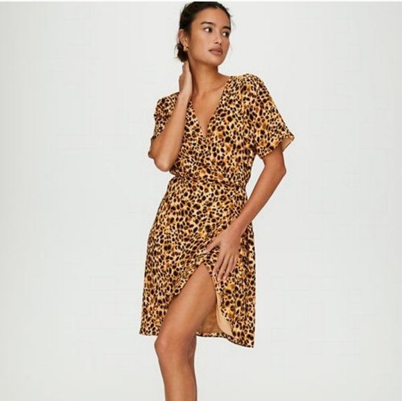 Aritzia Dresses & Skirts - Babaton Leopard Wallace Dress